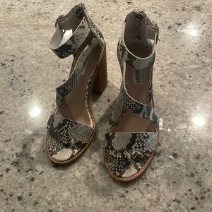 Snake skin leather Steve Madden collins heeled sandal